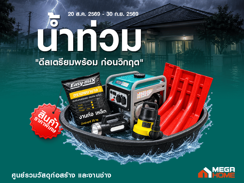 น้ำท่วม